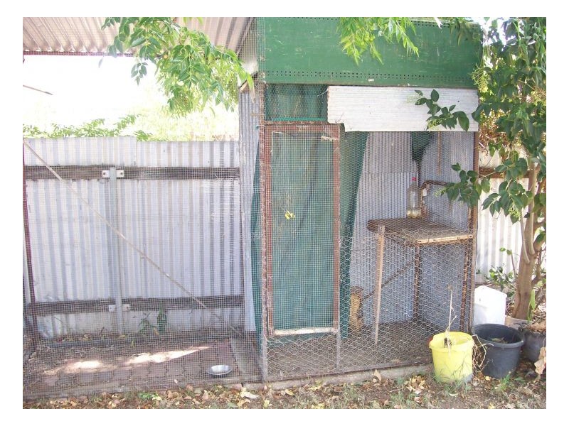 23 STEWART ST, Berrigan NSW 2712