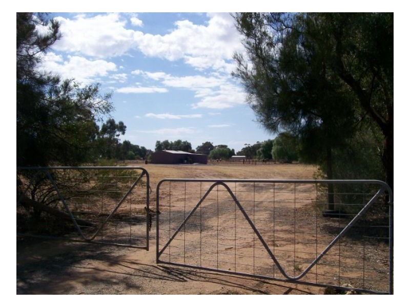 53-59 CORCORAN ST, Berrigan NSW 2712
