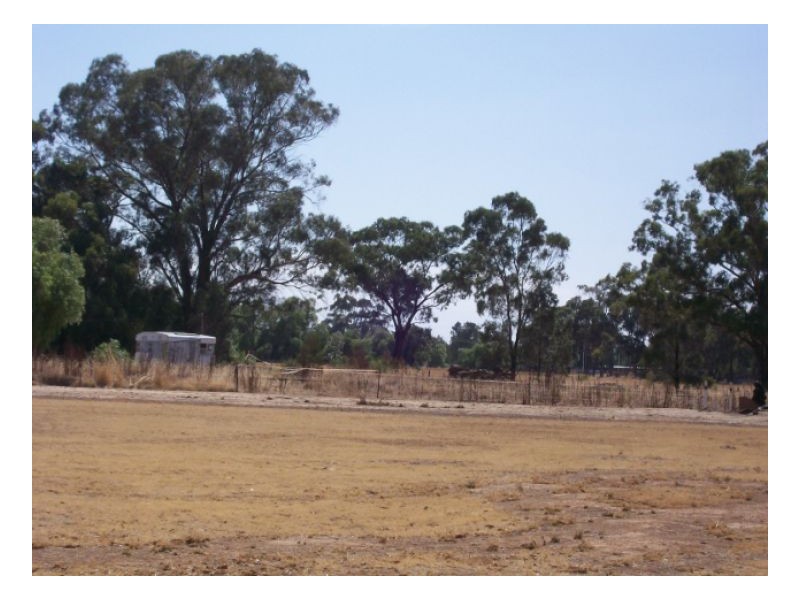 53-59 CORCORAN ST, Berrigan NSW 2712