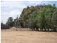 53-59 CORCORAN ST, Berrigan NSW 2712