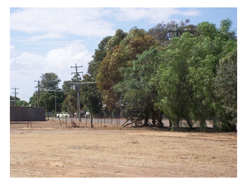 53-59 CORCORAN ST, Berrigan NSW 2712