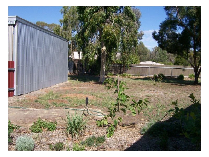 13-15 ROBERTSON RD, Berrigan NSW 2712