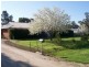 10-12 OSBORNE ST, Berrigan NSW 2712