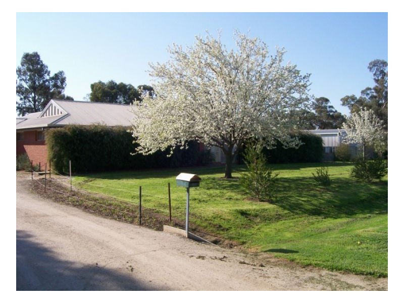 10-12 OSBORNE ST, Berrigan NSW 2712
