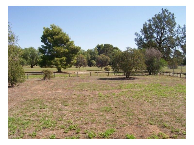 41 COBRAM ST, Berrigan NSW 2712