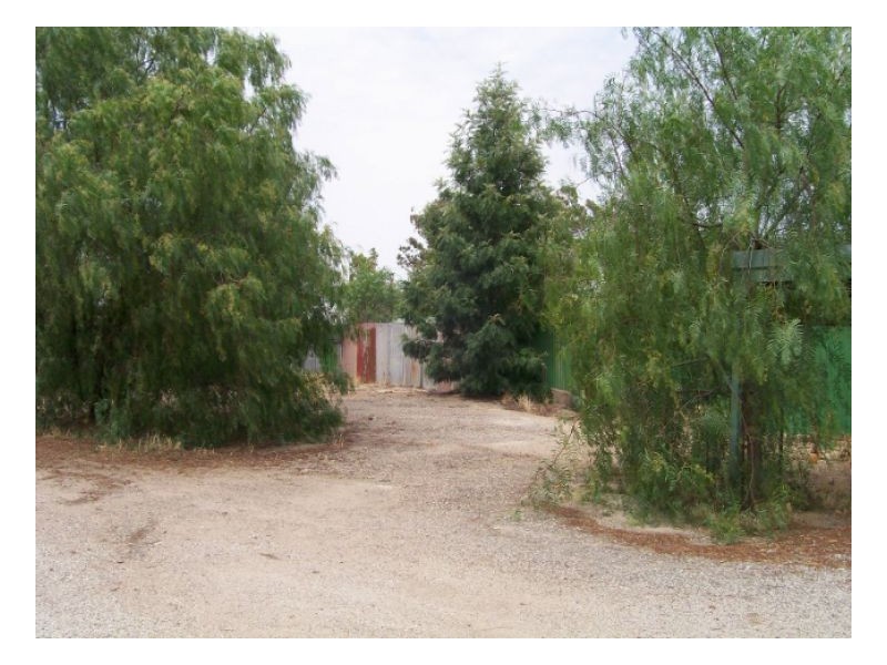 30 CORCORAN ST, Berrigan NSW 2712