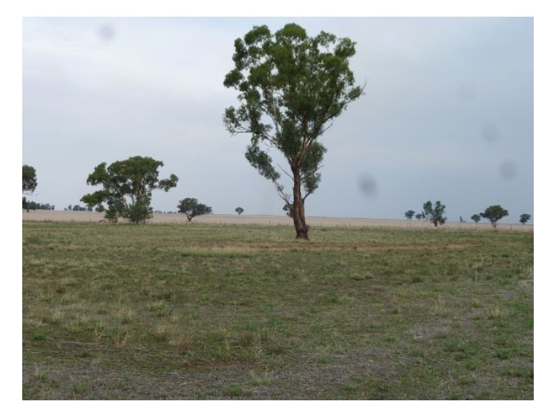 Lot 1 McLAREN ST, Oaklands NSW 2646