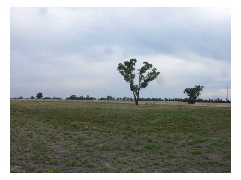 Lot 1 McLAREN ST, Oaklands NSW 2646