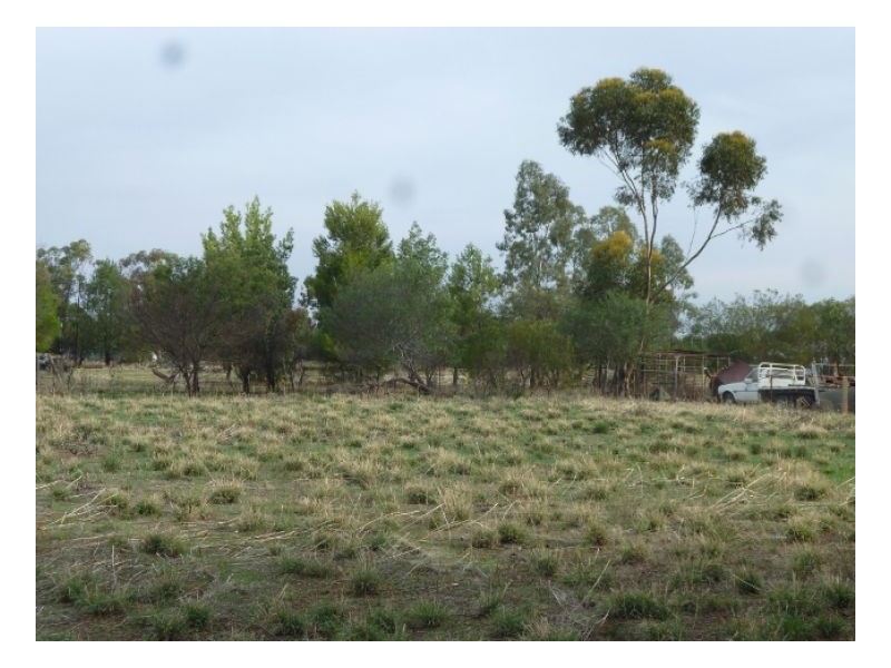 Lot 4 – 47 THORNBER STREET, Oaklands NSW 2646