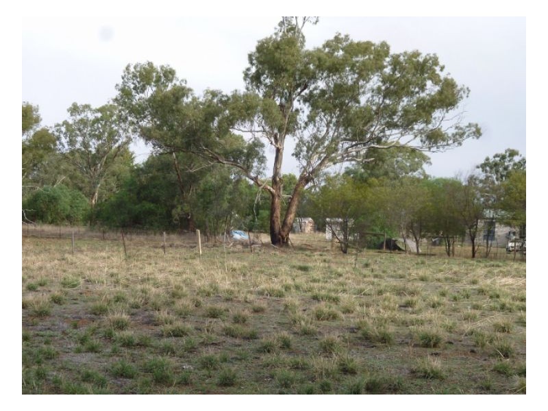 Lot 4 – 47 THORNBER STREET, Oaklands NSW 2646