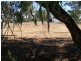 LOT 9 DENISON ST, Berrigan NSW 2712