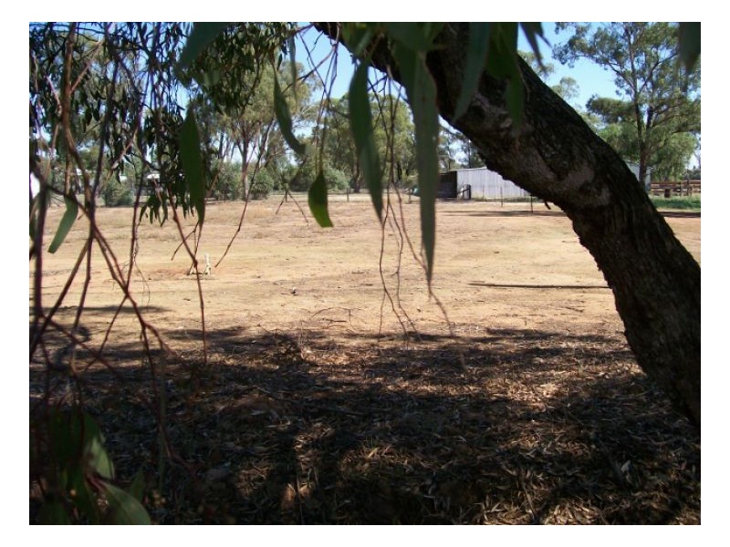LOT 9 DENISON ST, Berrigan NSW 2712