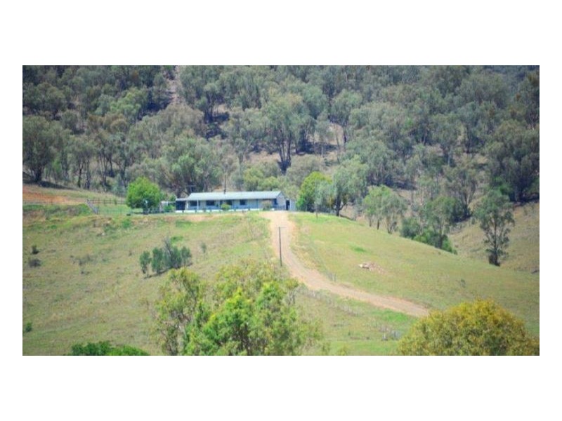 CONQUEST PARK – Dungowan, Tamworth NSW 2340