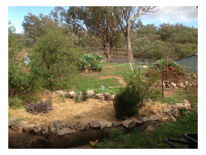 CONQUEST PARK – Dungowan, Tamworth NSW 2340