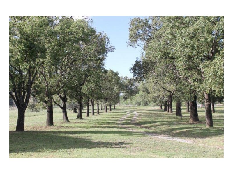 DALKEITH – Winton, Tamworth NSW 2340