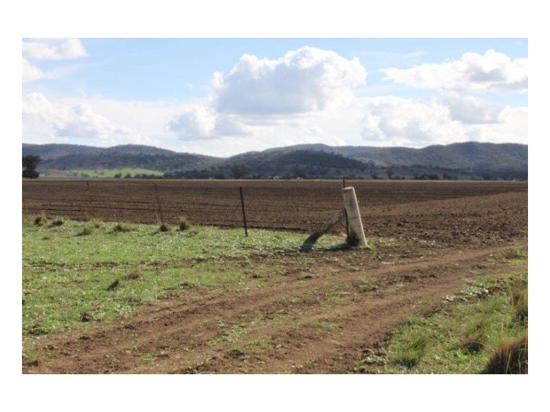 DALKEITH – Winton, Tamworth NSW 2340