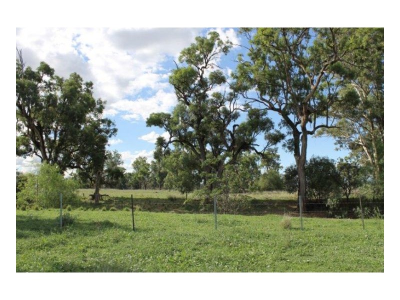 DALKEITH – Winton, Tamworth NSW 2340