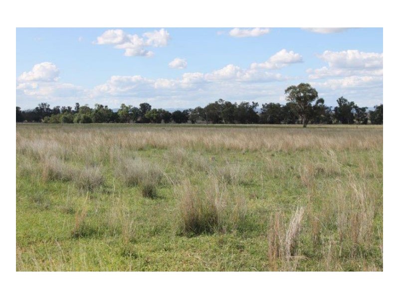 DALKEITH – Winton, Tamworth NSW 2340