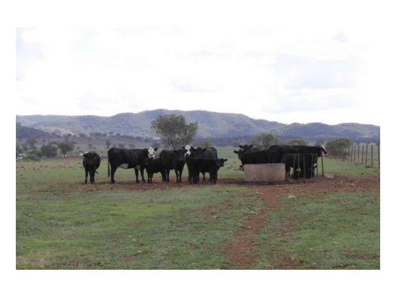 DALKEITH – Winton, Tamworth NSW 2340