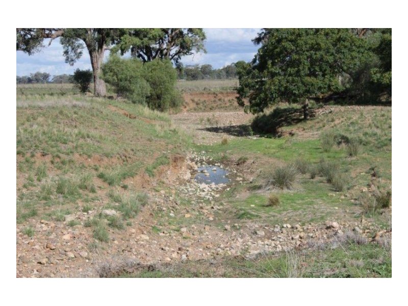 DALKEITH – Winton, Tamworth NSW 2340