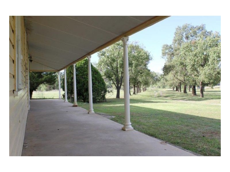 DALKEITH – Winton, Tamworth NSW 2340