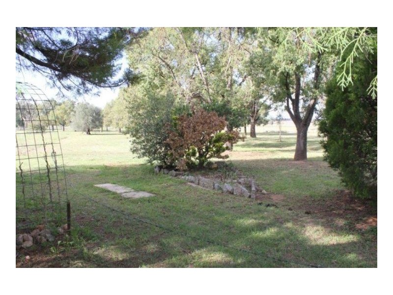 DALKEITH – Winton, Tamworth NSW 2340
