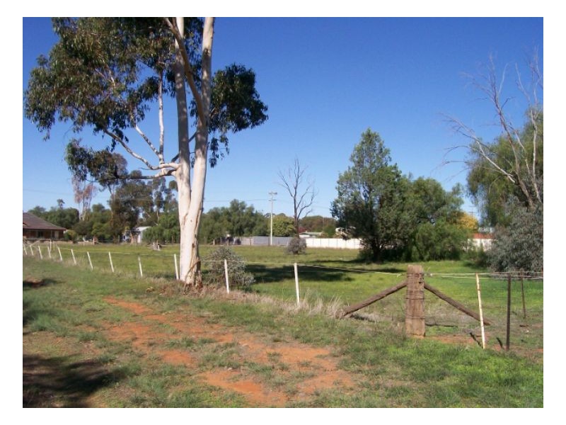25 THORNBER ST, Oaklands NSW 2646