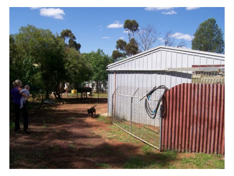 25 THORNBER ST, Oaklands NSW 2646
