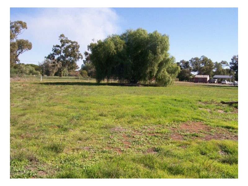 25 THORNBER ST, Oaklands NSW 2646