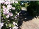 25a STEWART ST, Berrigan NSW 2712