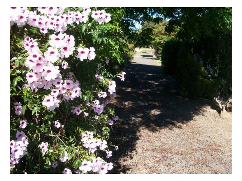 25a STEWART ST, Berrigan NSW 2712