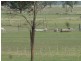 1842 New England Highway Moonbi, Tamworth NSW 2340