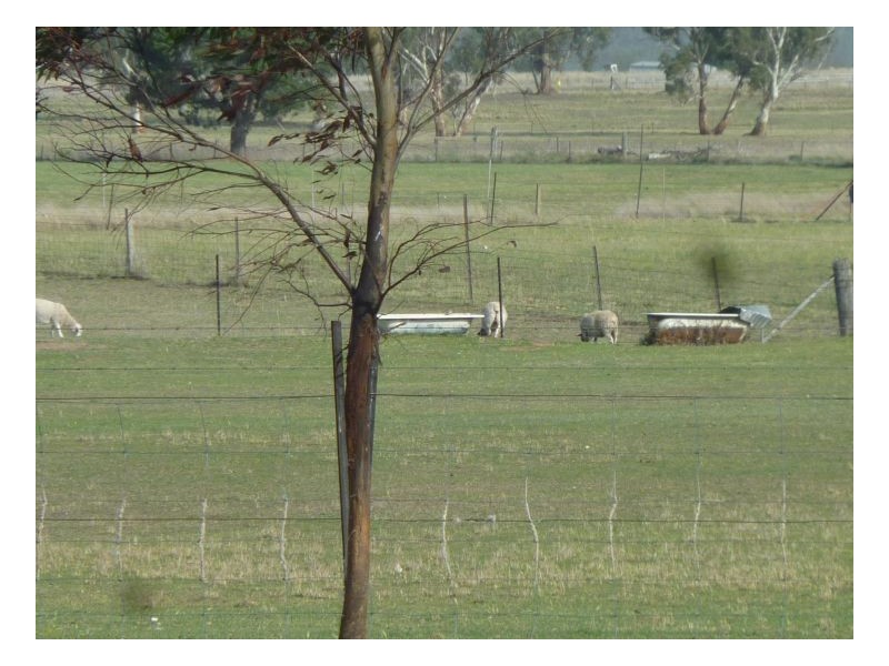 1842 New England Highway Moonbi, Tamworth NSW 2340
