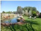 33 COBRAM ST, Berrigan NSW 2712
