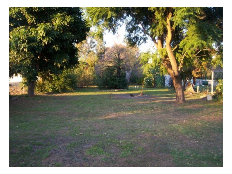 12 JERILDERIE ST, Berrigan NSW 2712