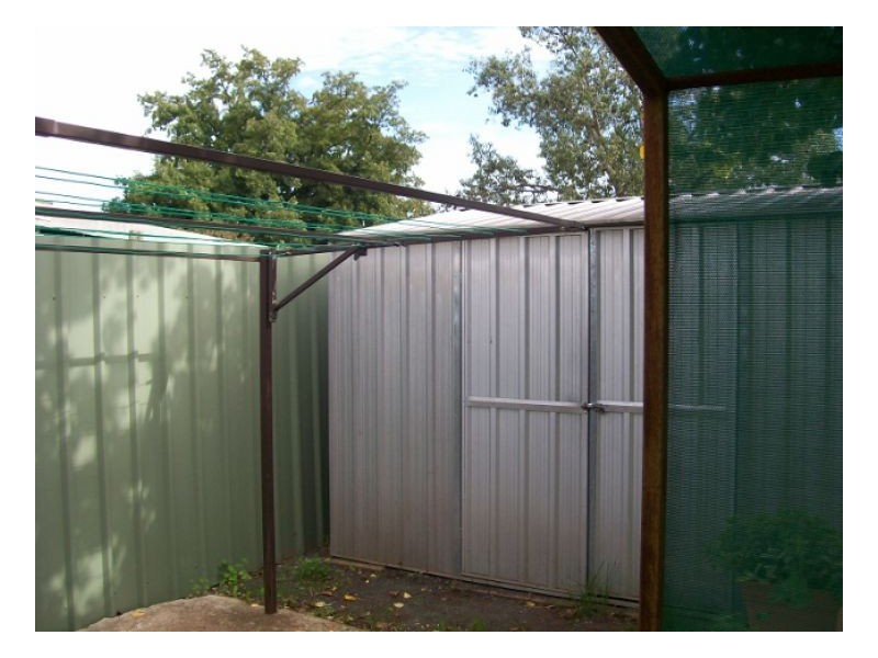 13 COBRAM ST, Berrigan NSW 2712