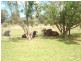 IRELANDA PARK – Moonbi, Tamworth NSW 2340