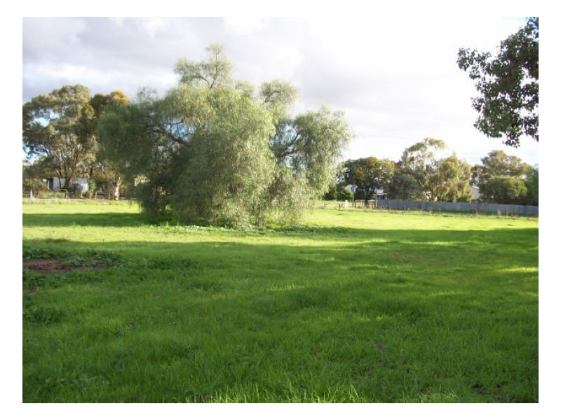 32 -40 BULLER ST, Oaklands NSW 2646