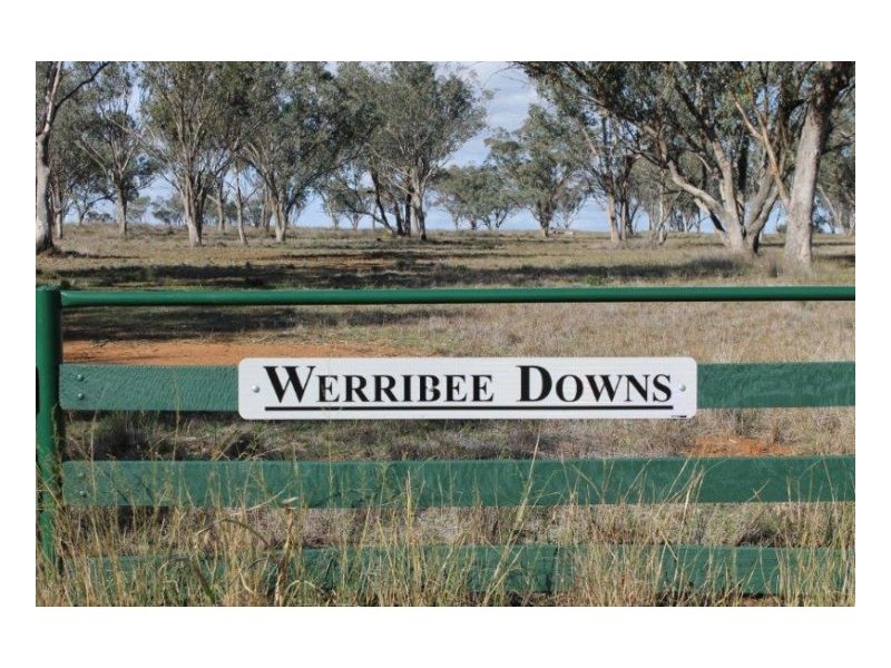 WERRIBEE DOWNS, Tamworth NSW 2340