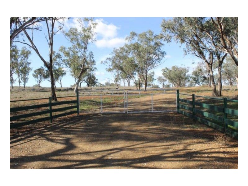 WERRIBEE DOWNS, Tamworth NSW 2340