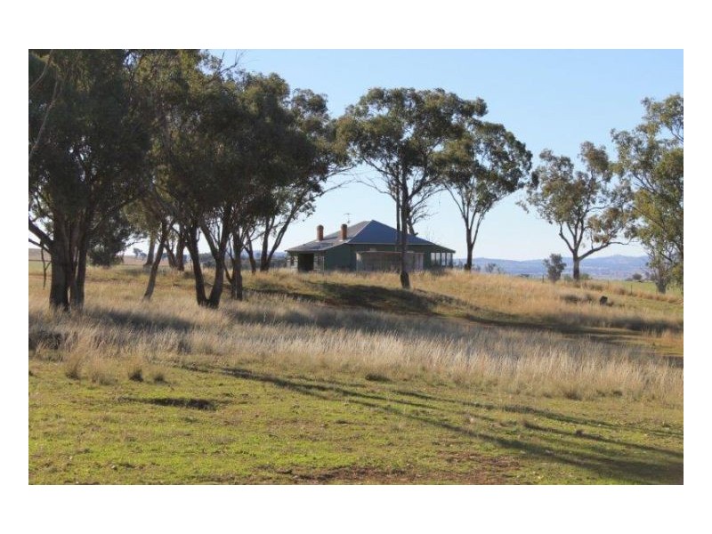 WERRIBEE DOWNS, Tamworth NSW 2340