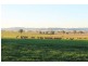 WERRIBEE DOWNS, Tamworth NSW 2340