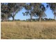 WERRIBEE DOWNS, Tamworth NSW 2340