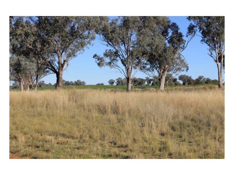 WERRIBEE DOWNS, Tamworth NSW 2340