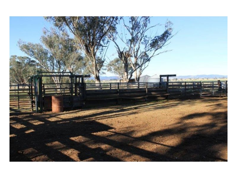 WERRIBEE DOWNS, Tamworth NSW 2340