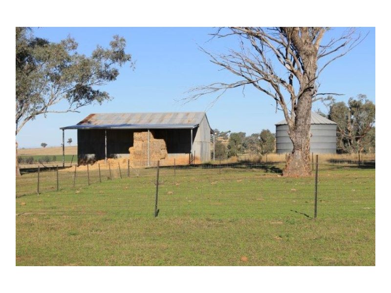 WERRIBEE DOWNS, Tamworth NSW 2340