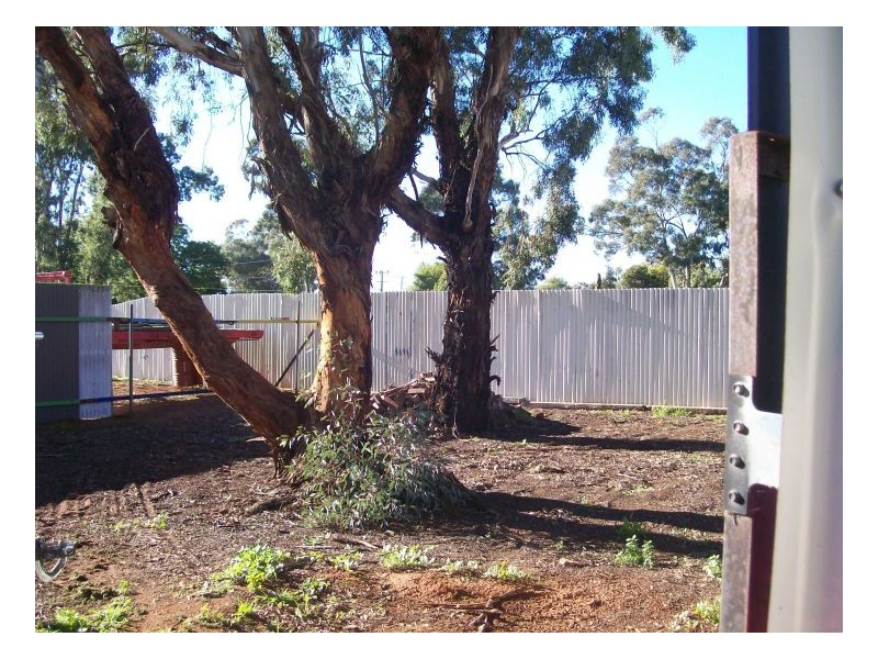 11 COREEN ST, Oaklands NSW 2646