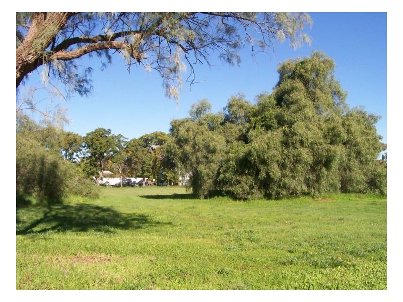 33-35 YOUNG ST, Oaklands NSW 2646