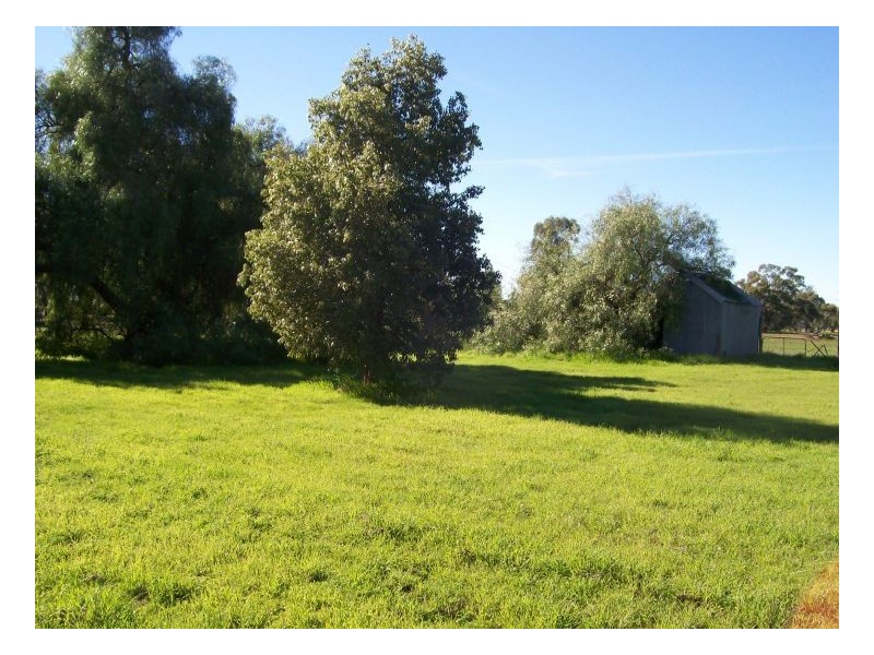 33-35 YOUNG ST, Oaklands NSW 2646