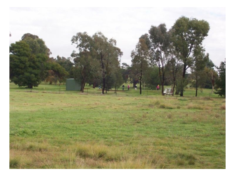 6 PUTTERS CT, Barooga NSW 3644